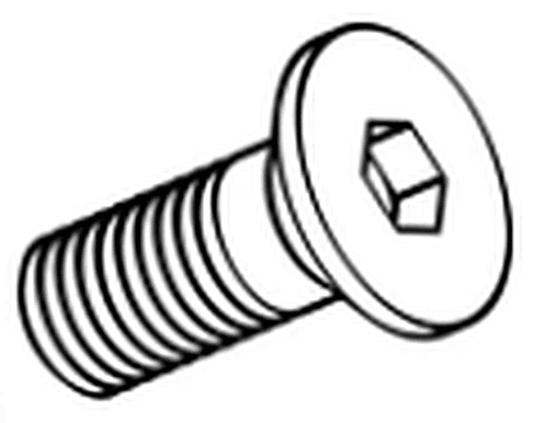 Screw
